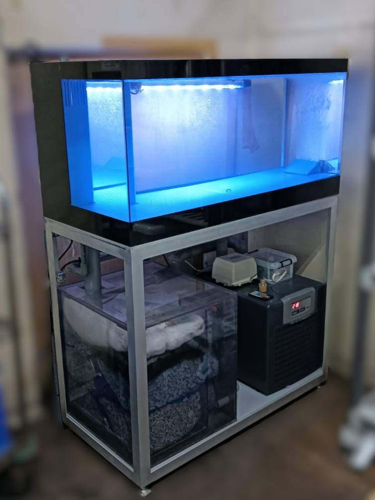 長崎県　潮1000ZS　新規　活魚水槽